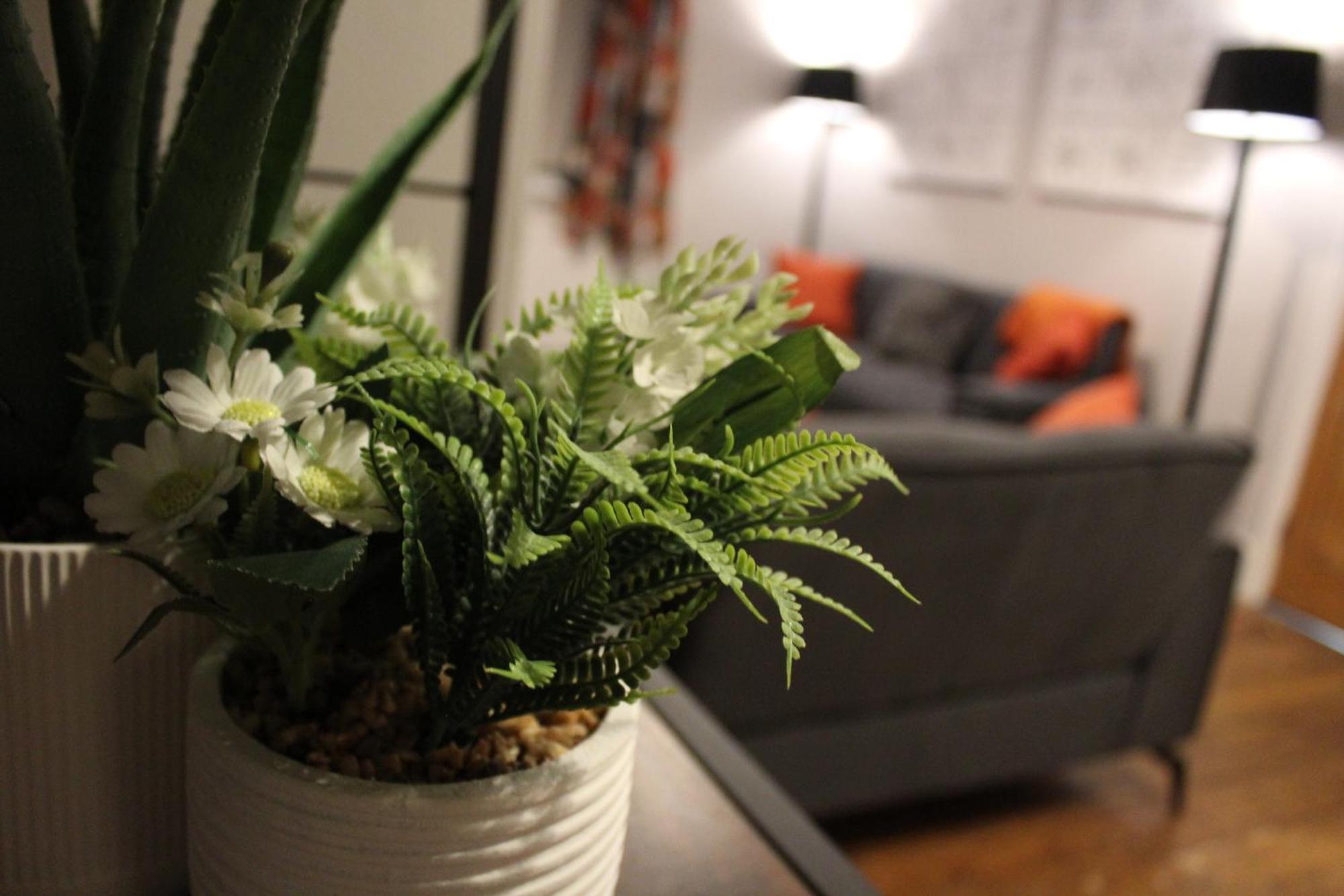 St James 3 Bedroom House In Tunbridge Wells المظهر الخارجي الصورة